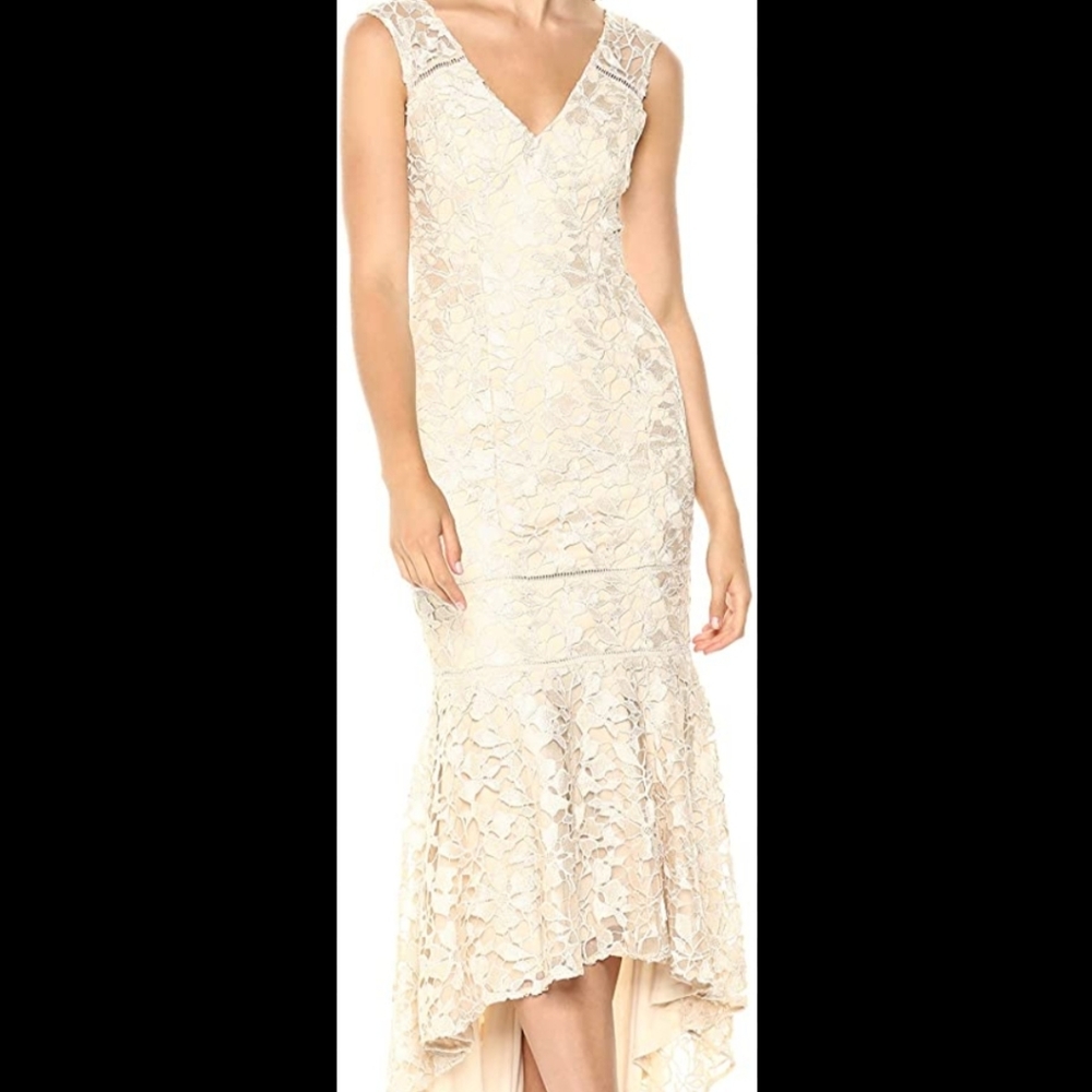 Adrianna Papell long guipure lace dress champagne